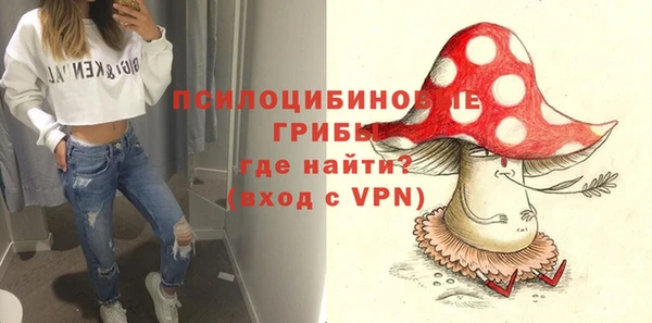 гашик Алексин