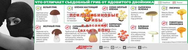 гашик Алексин