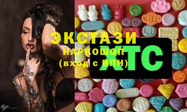 гашик Алексин