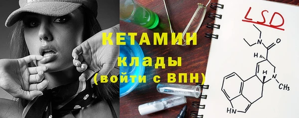 гашик Алексин