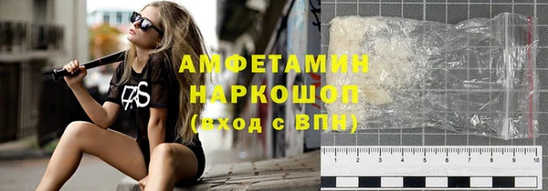 гашик Алексин